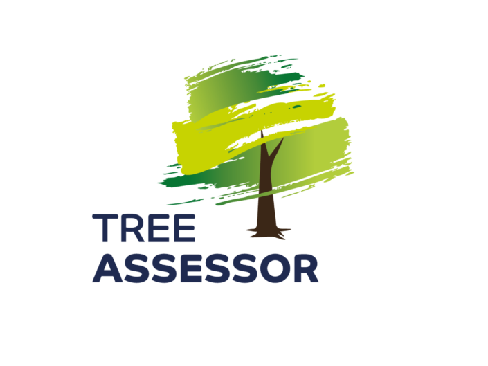 tree assessor